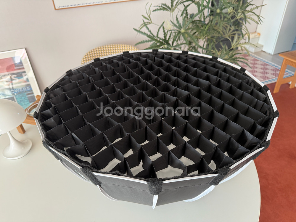 난라이트 포르자 60B + 파라볼릭 소프트박스--4