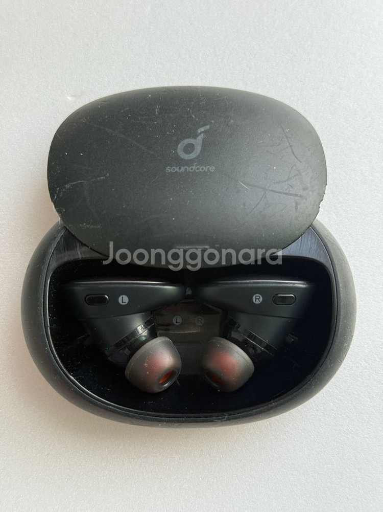 앤커 사운드코어 리버티2 프로 이어폰--0