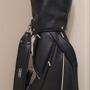 + 타이틀리스트 + 남성용 골프채 풀세트