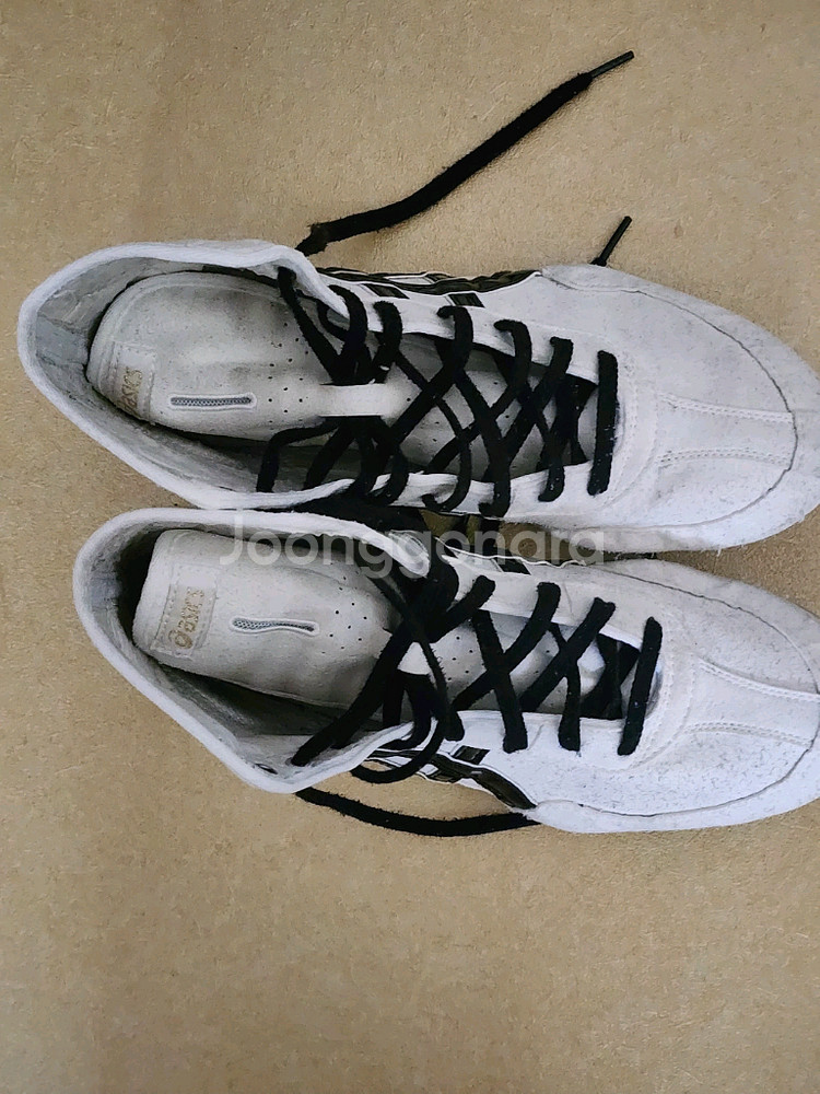 아식스 레슬링화--0