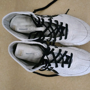 아식스 레슬링화