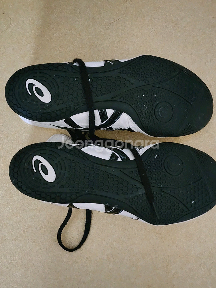 아식스 레슬링화--1