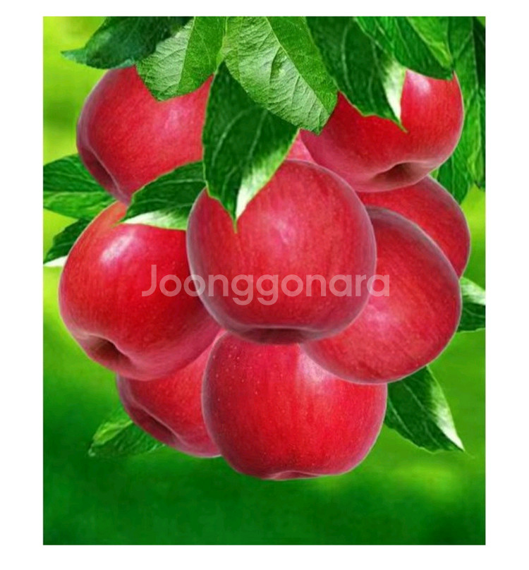 홍과 보석십자수 주문제작해드려요--0