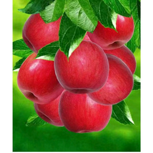 홍과 보석십자수 주문제작해드려요