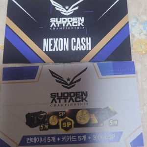 서든어택 넥슨캐시/서든어택쿠폰