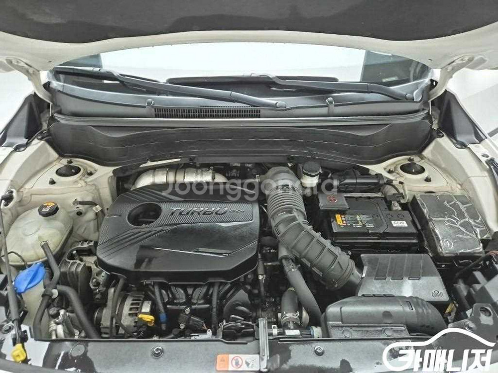 [기아]셀토스 가솔린 1.6 터보 4WD 노블레스 (5인승) #앱특가--4