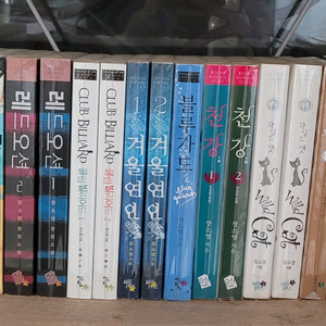 로맨스소설 ㅡ 장소영 최대