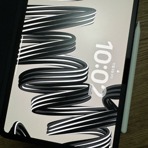 아이패드 프로 11인치 M4 512 + 애플 펜슬 프로