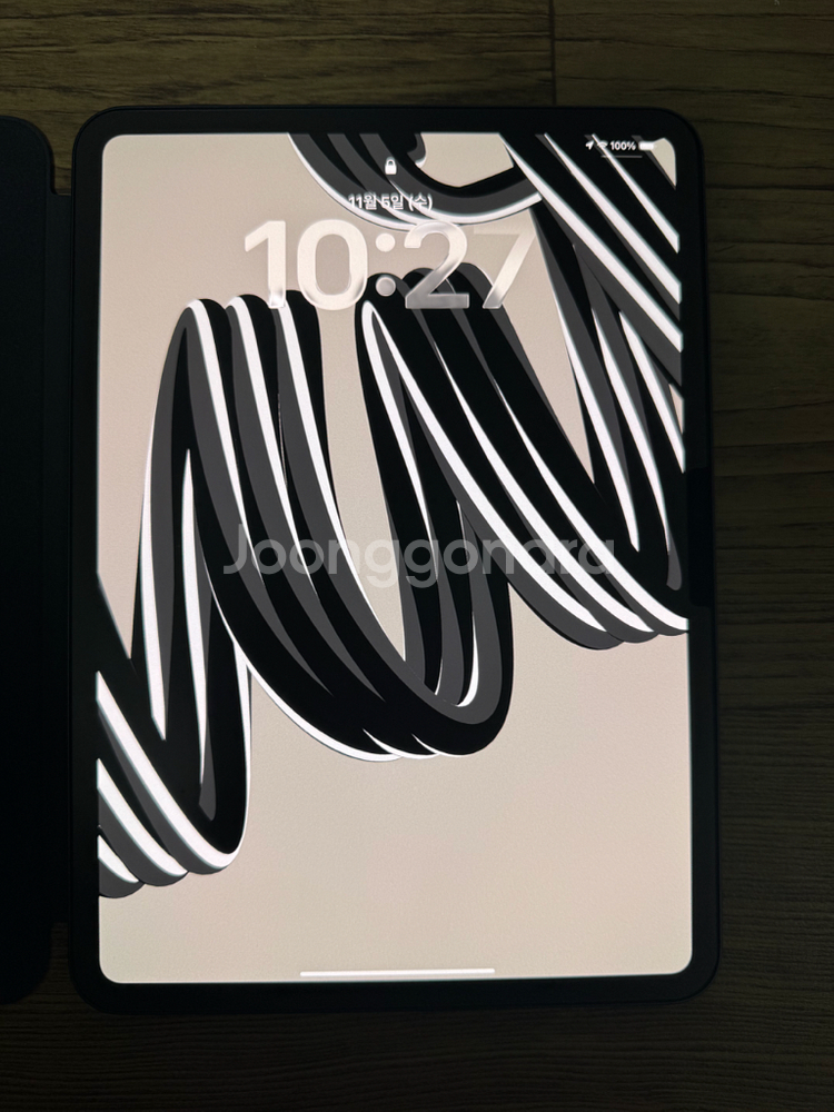 아이패드 프로 11인치 M4 512 + 애플 펜슬 프로--1