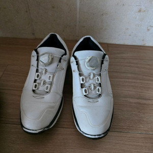 르꼬끄 보아골프화 245