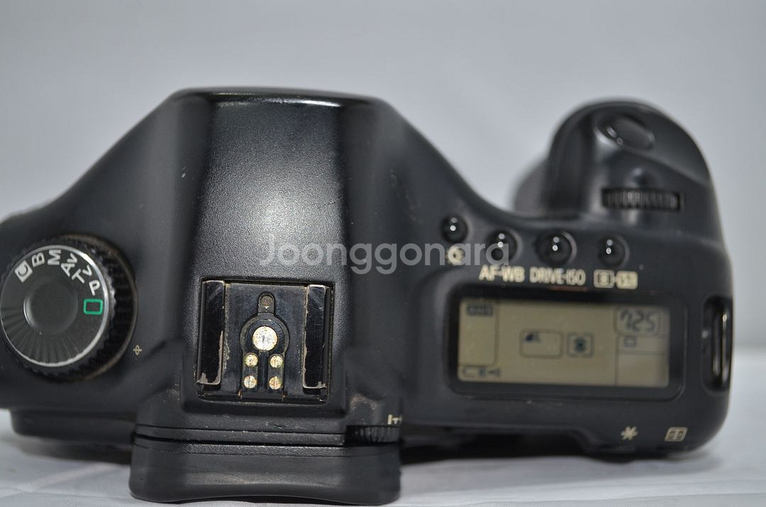 캐논 EOS 5D 오디--1