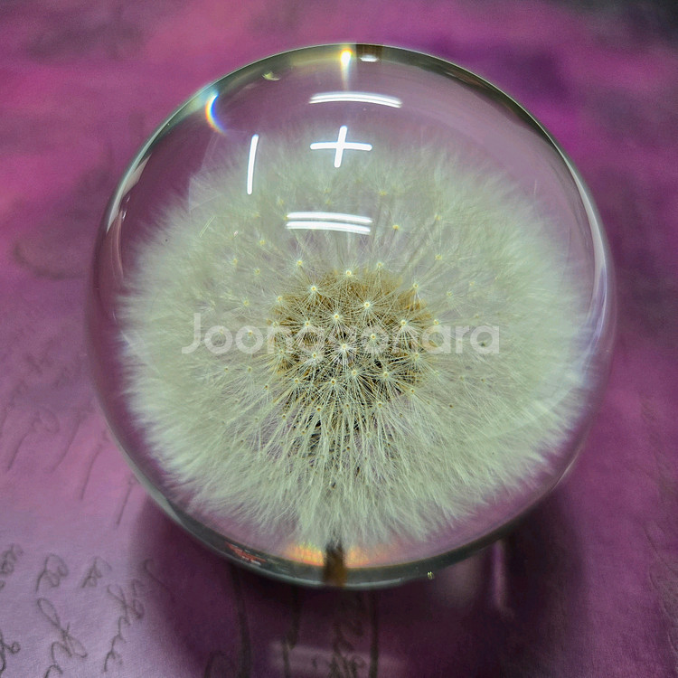 민들레 크리스탈 볼 수정구 장식품--1