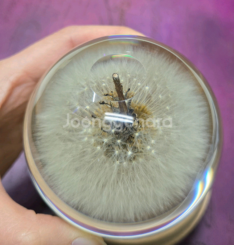 민들레 크리스탈 볼 수정구 장식품--2