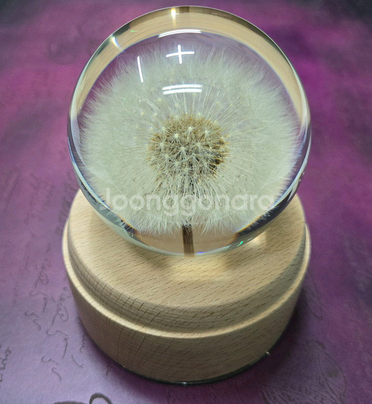 민들레 크리스탈 볼 수정구 장식품--0