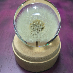 민들레 크리스탈 볼 수정구 장식품