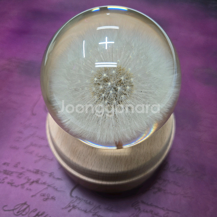 민들레 크리스탈 볼 수정구 장식품--3