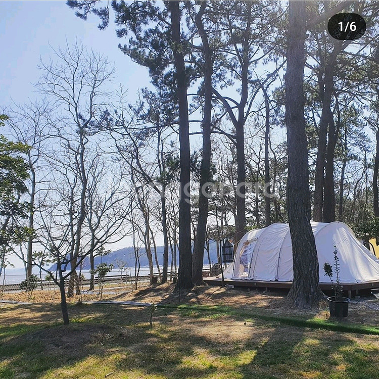 면텐트 드베르그 시르케 (대구)--0