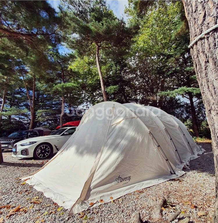 면텐트 드베르그 시르케 (대구)--1