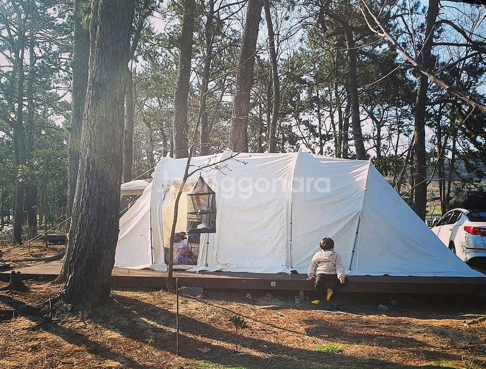 면텐트 드베르그 시르케 (대구)--3