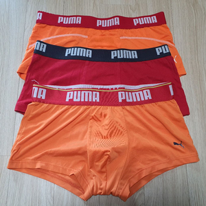 남성 팬티 4장 세트