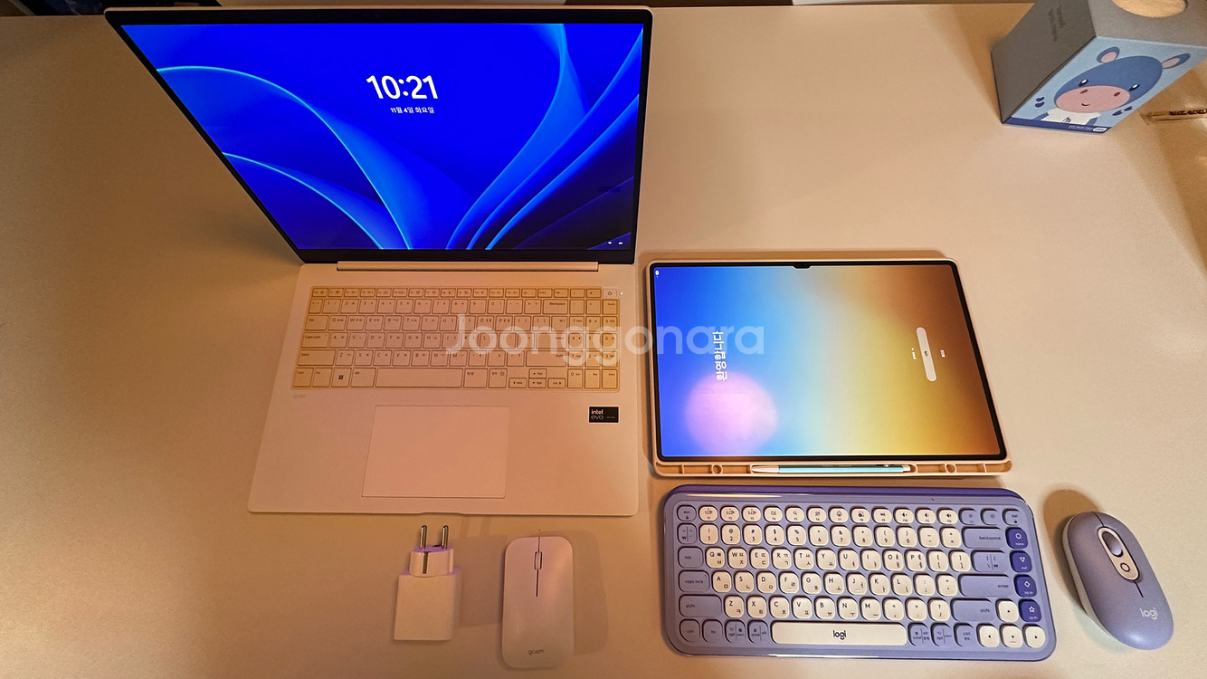 갤럭시탭 S10 Ultra & LG 그램 판매/아이패드 m4,m5교환--0