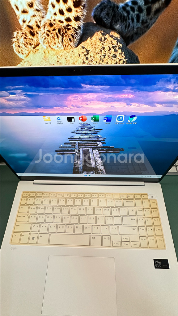 갤럭시탭 S10 Ultra & LG 그램 판매/아이패드 m4,m5교환--7