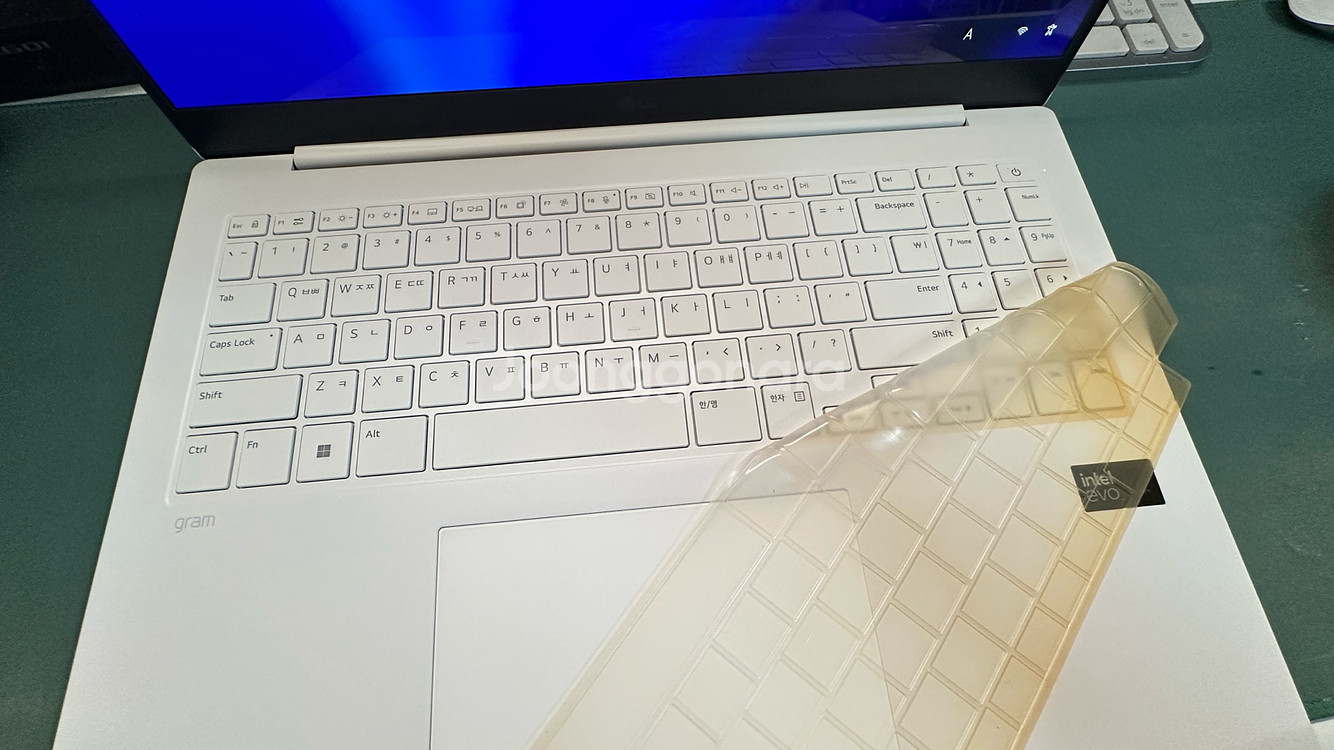 갤럭시탭 S10 Ultra & LG 그램 판매/아이패드 m4,m5교환--5