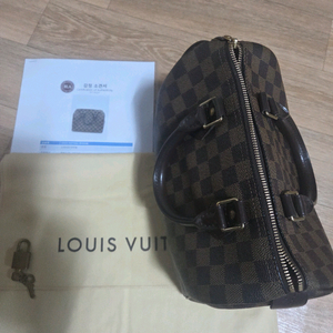 루이비통 스피디25 다미에 에벤