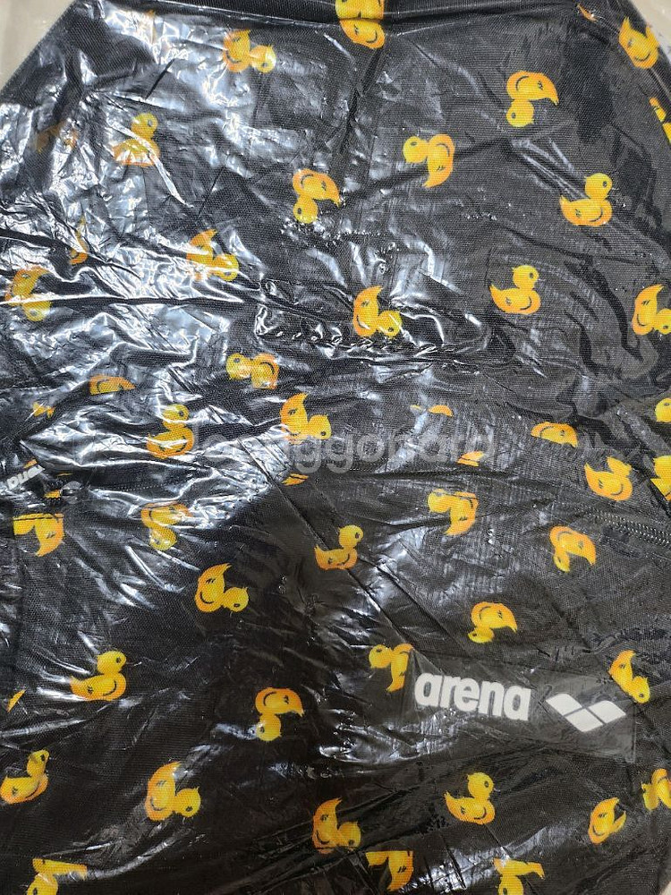 아레나 오리백팩--1