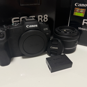 캐논 eos r8 + rf50mm f1.8 stm