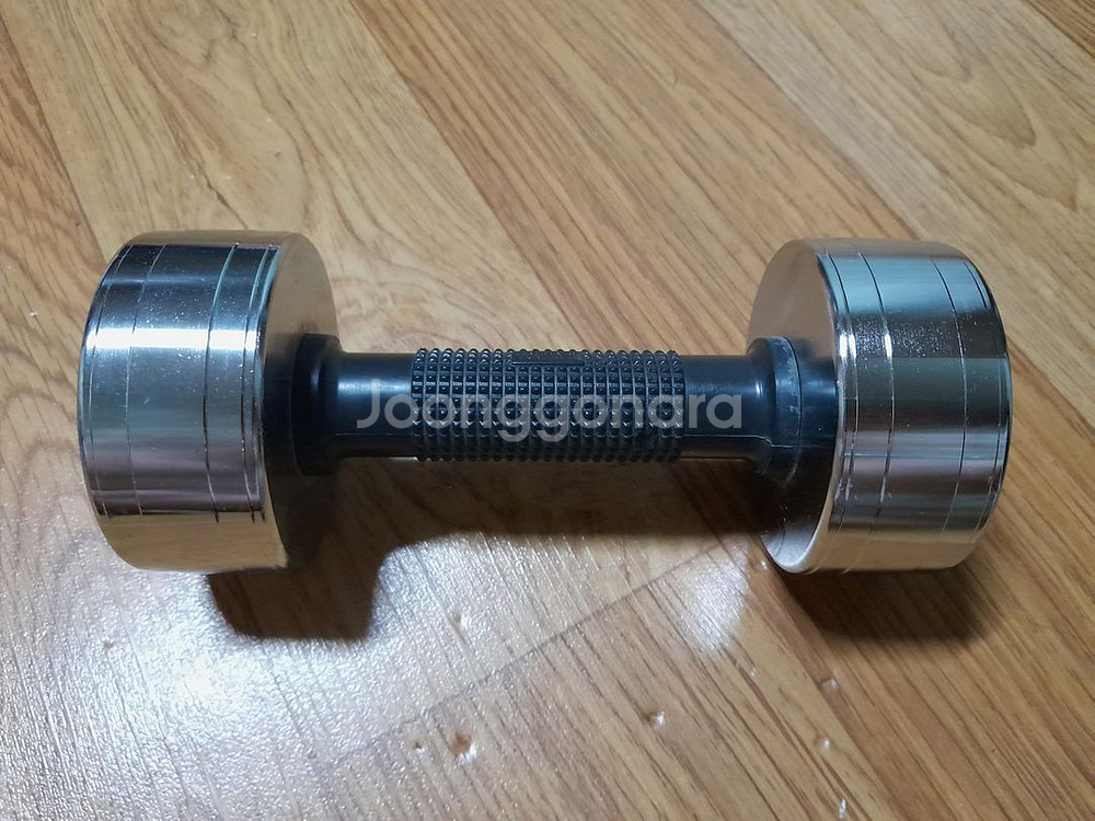아령 3KG 1개 크롬 도금 덤벨--3