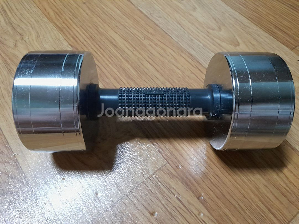 아령 5KG 1개 크롬 도금 덤벨--3