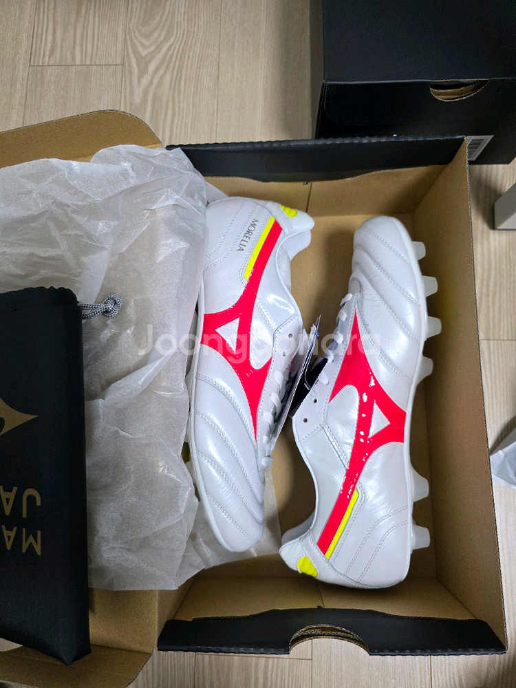 모렐리아2 jp 275--0