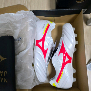 모렐리아2 jp 275