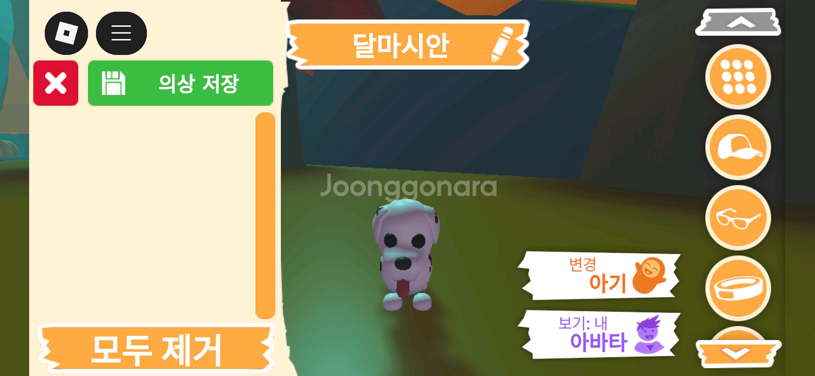 입양하세요 펫 달마시안(산강) 판매합니다--0