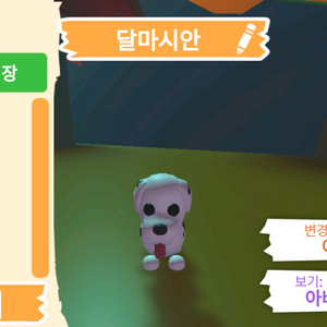 입양하세요 펫 달마시안(산강) 판매합니다