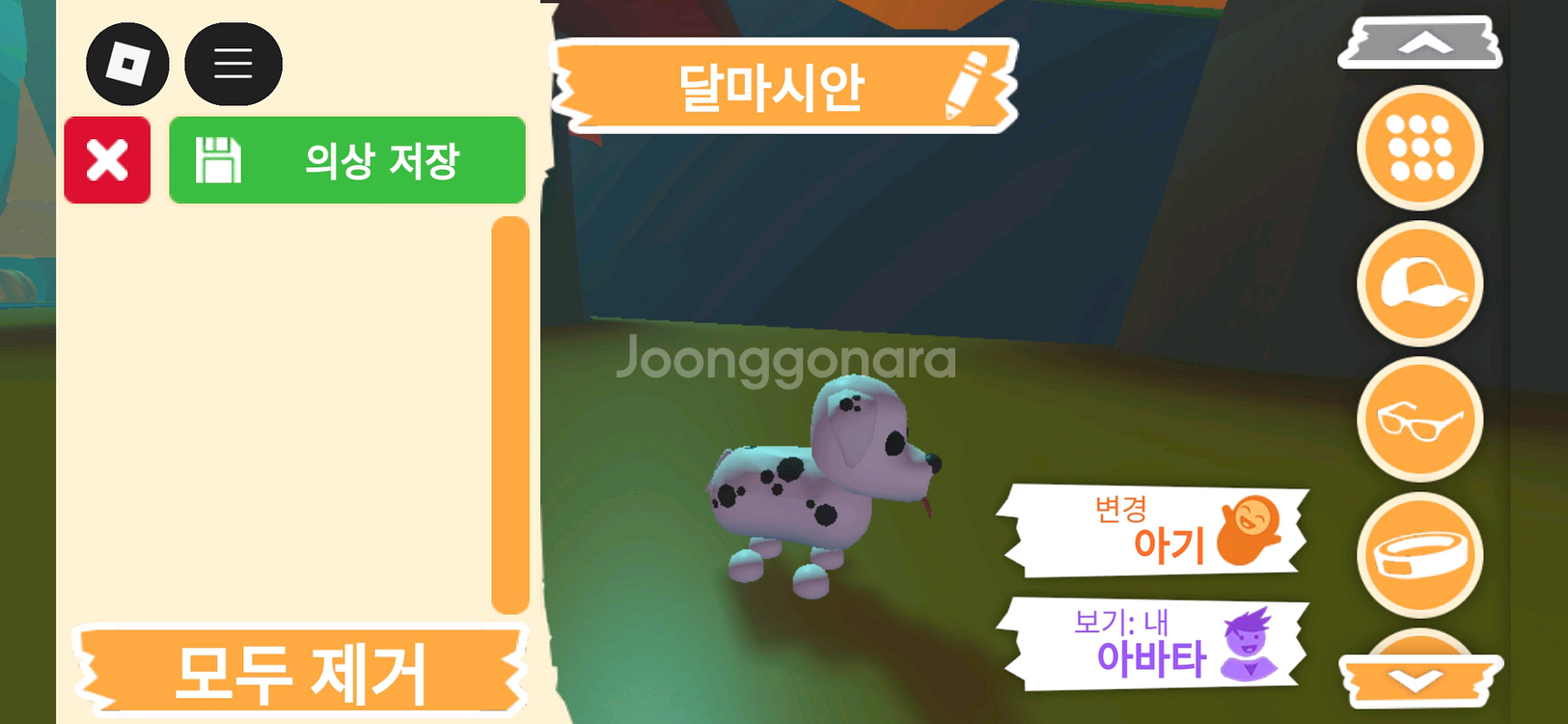 입양하세요 펫 달마시안(산강) 판매합니다--1