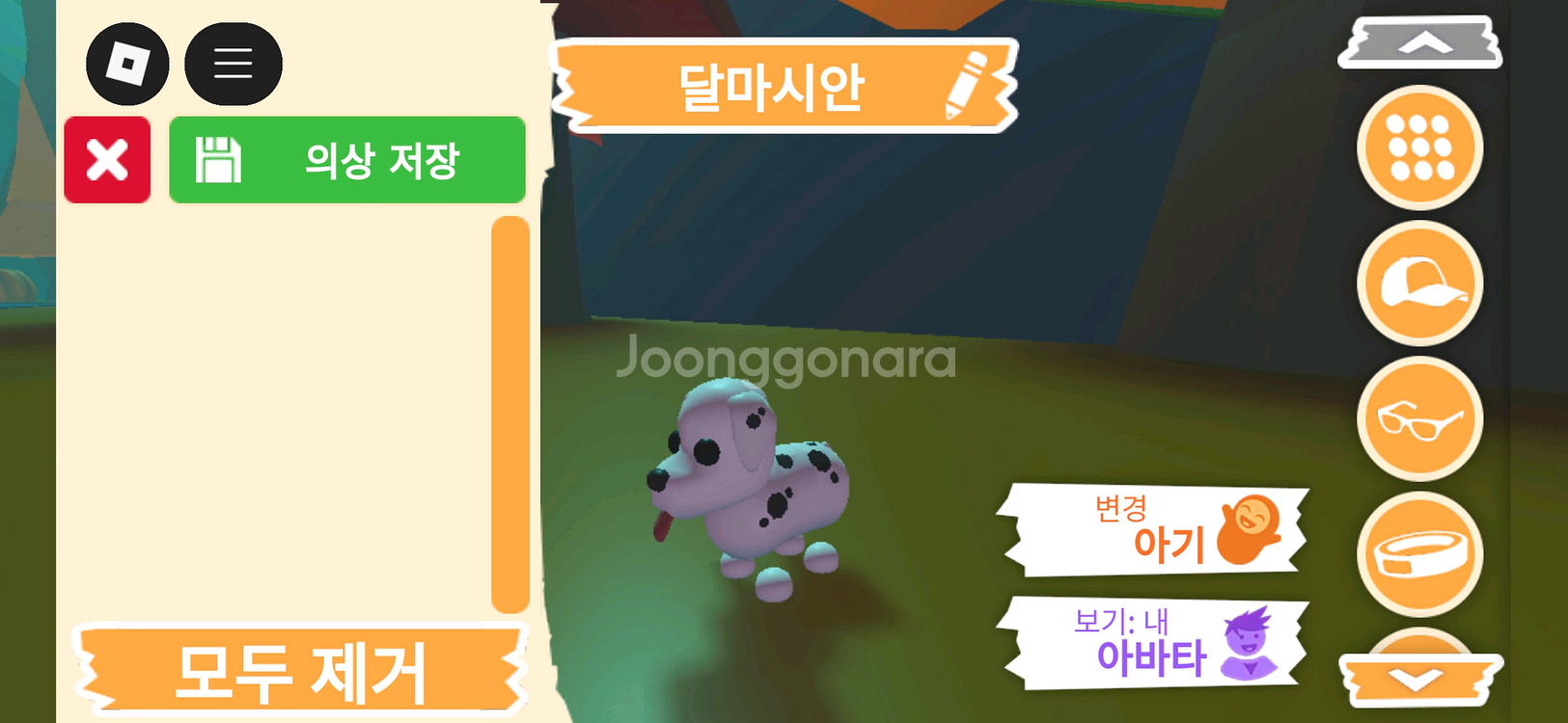 입양하세요 펫 달마시안(산강) 판매합니다--2