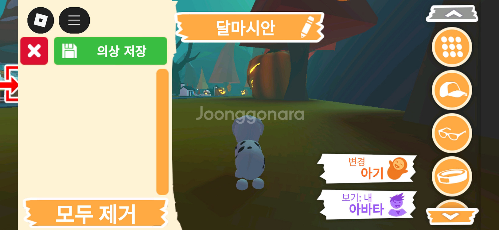 입양하세요 펫 달마시안(산강) 판매합니다--3