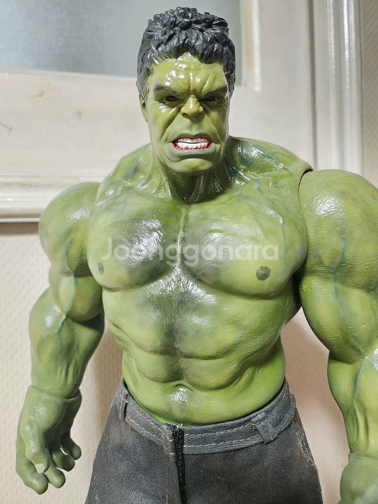 핫토이 x 헐크 리페인트 1/6 스케일 피규어--1