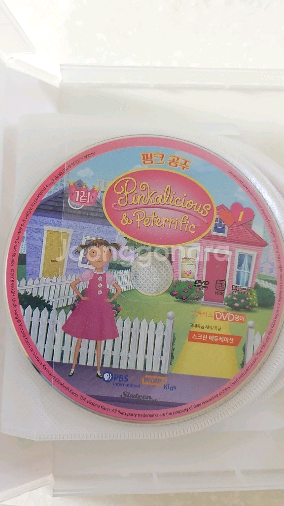 (택포)핑크 공주 DVD1집--2