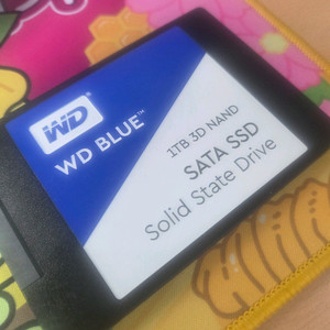 WD 블루 1TB SSD
