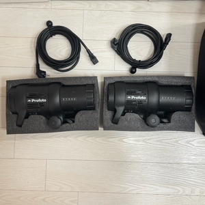 프로포토 D1 air500 스튜디오 조명 2대 세트