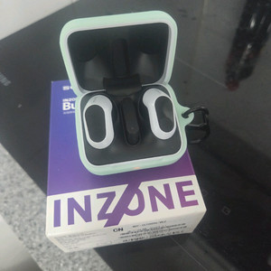 소니 인존 버즈