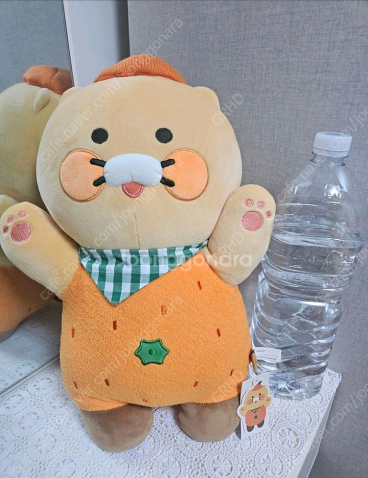 베트남인형,짱구인형, 라이언등 이미지