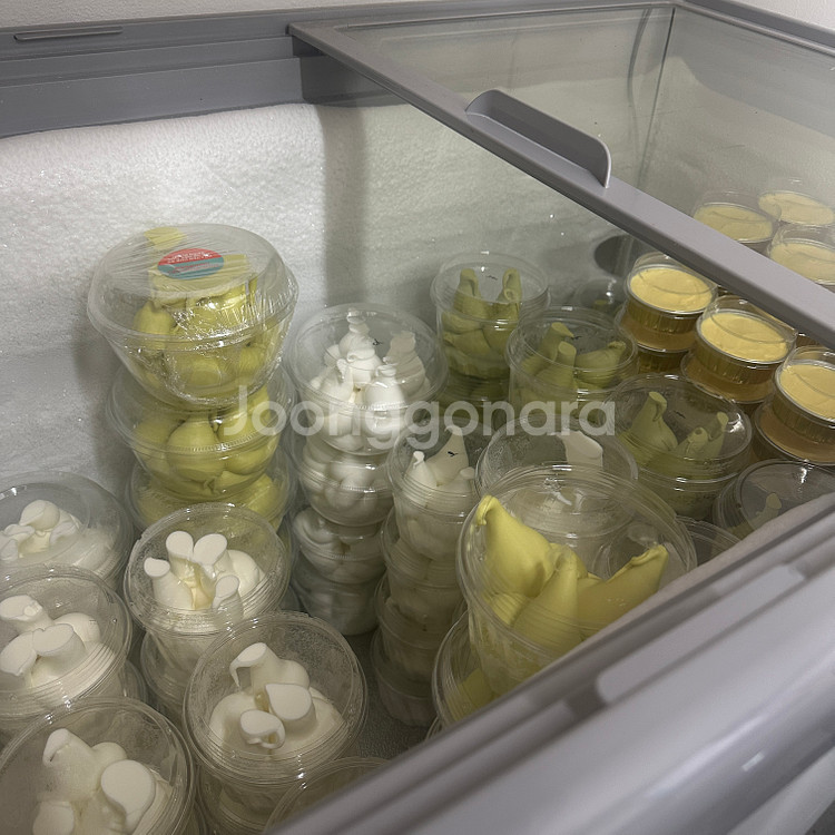 캐리어 냉동고 저소음 다목적 유리도어 냉동고 CDHD301WA--2