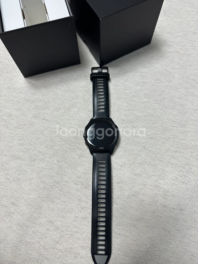 가민포러너265--2