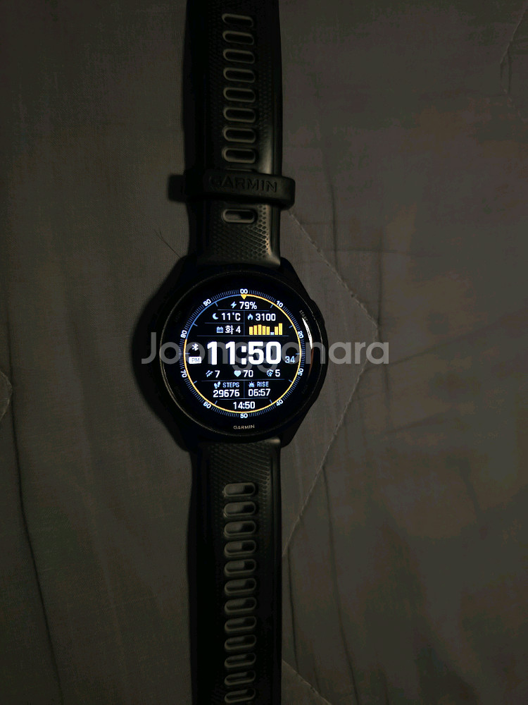 가민포러너265--4