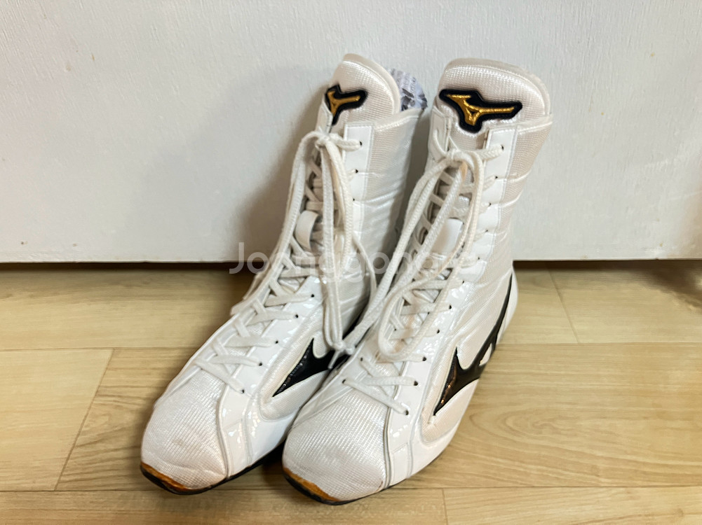 미즈노 피니셔 255--0