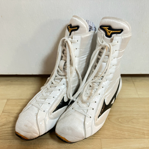 미즈노 피니셔 255